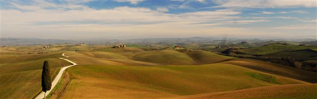 3840x1200 Tuscany landscape - tree iPhone Panoramic Wallpaper
