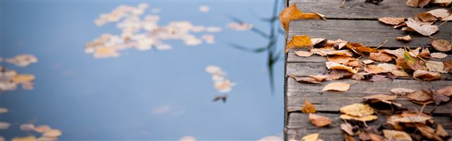 3840x1200 Autumn Leaves On Wooden Bridge - water iPhone Panoramic Wallpaper