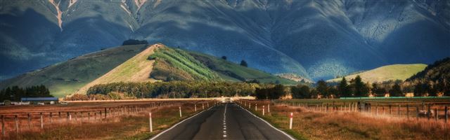 3840x1200 Road In New Zealand - tree iPhone Panoramic Wallpaper