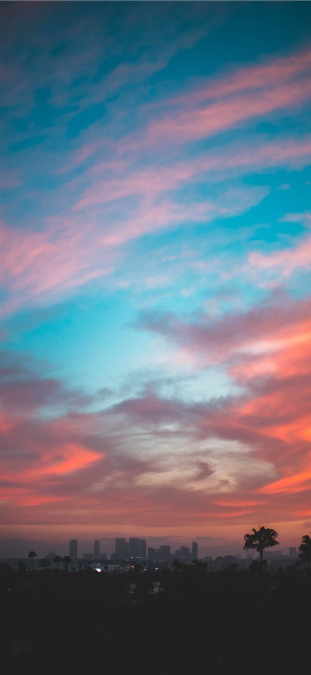 1125x2436 Sunset in LA - palm tree iPhone 11 Wallpaper