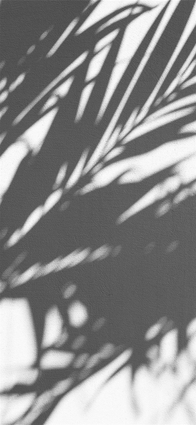 1125x2436 PALM TREE SHADOW -  iPhone 11 Wallpaper