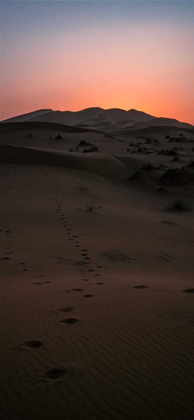 1125x2436 Desert Sunset -  iPhone 11 Wallpaper