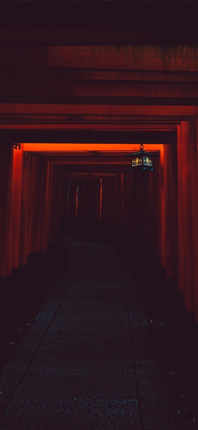1125x2436 1000 Trii Gates - dark (black) iPhone 11 Wallpaper