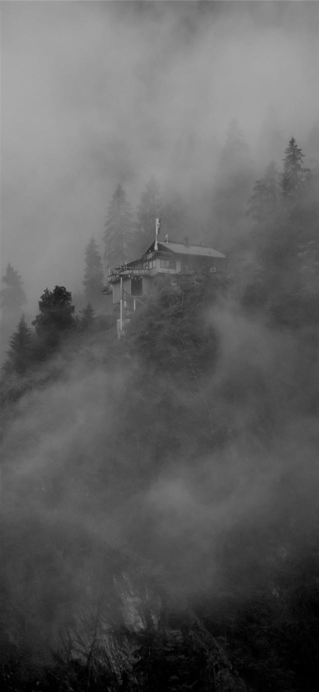 1125x2436 The fog of mystery -  iPhone 11 Wallpaper