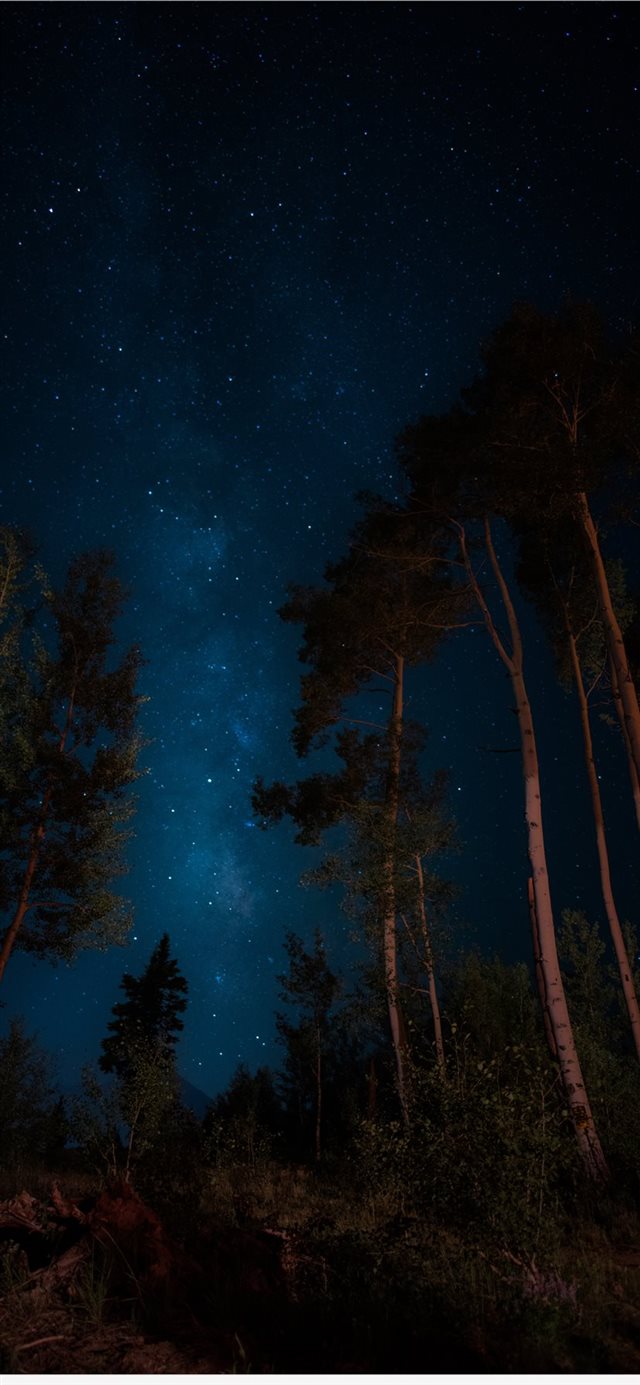 1125x2436 darkness -  iPhone 11 Wallpaper
