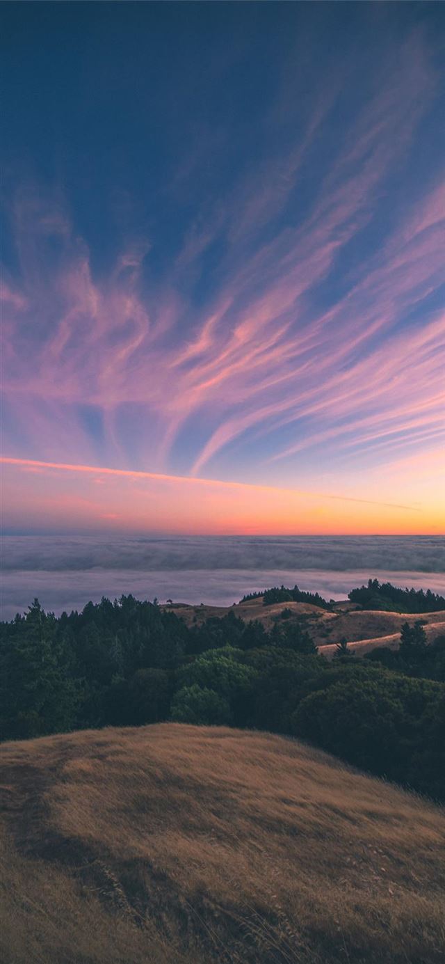 1125x2436 Brilliance -  iPhone 11 Wallpaper