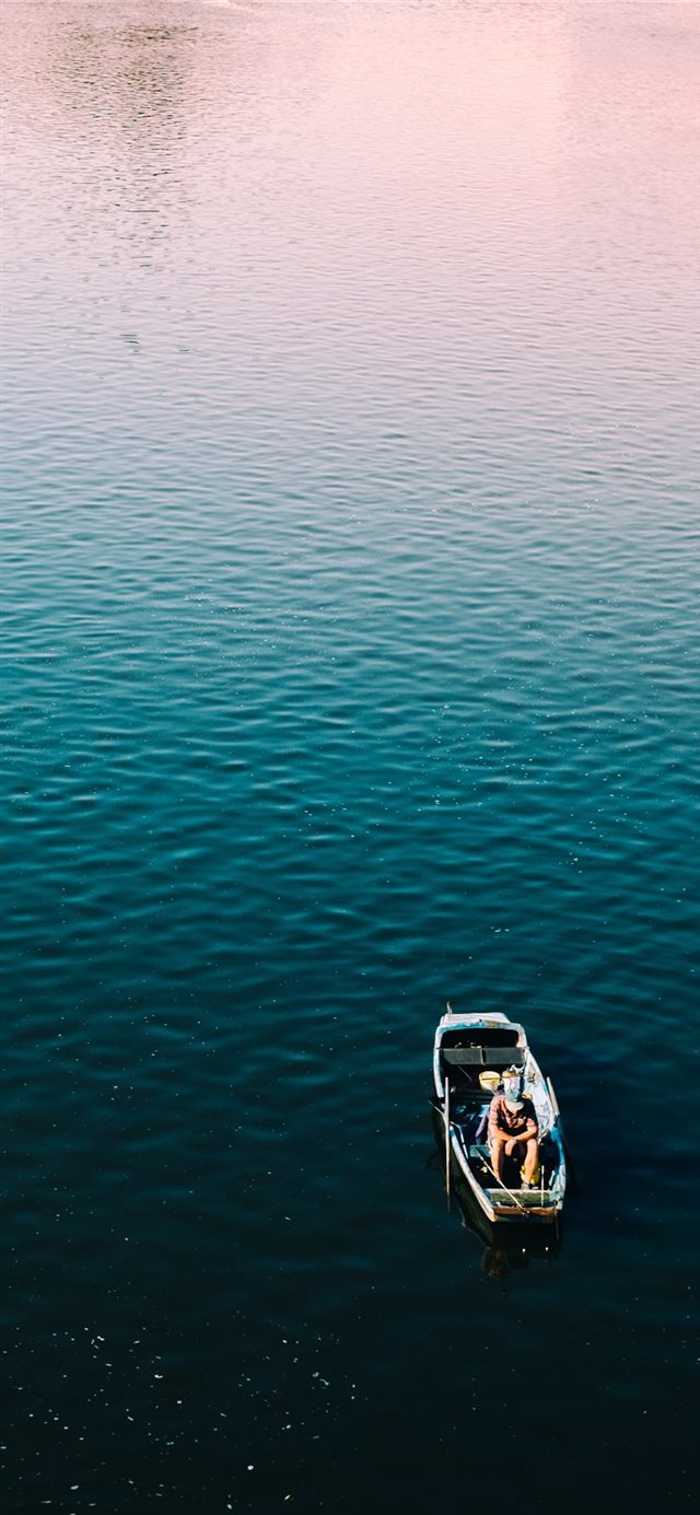 1125x2436 Morning Fish - travel iPhone 11 Wallpaper