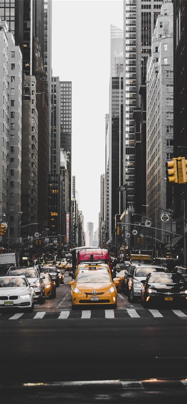 1125x2436 Central Park  New York  United States -  iPhone 11 Wallpaper