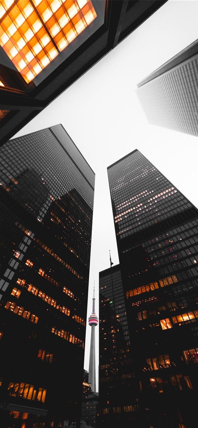 1125x2436 Toronto  Canada -  iPhone 11 Wallpaper