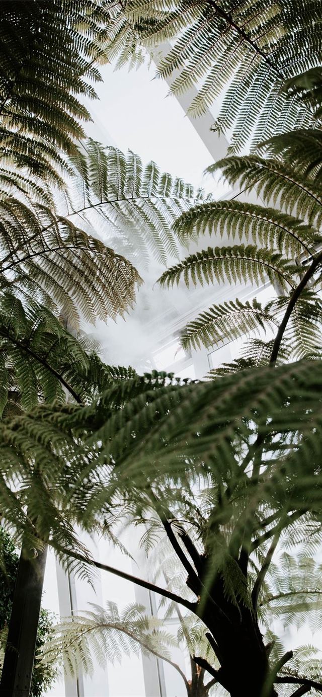 1125x2436 The Garden In The Sky - android wallpaper iPhone 11 Wallpaper