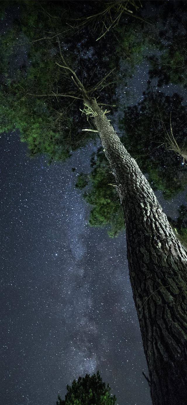 1125x2436 Grayan et l'Hôpital  France - star iPhone 11 Wallpaper
