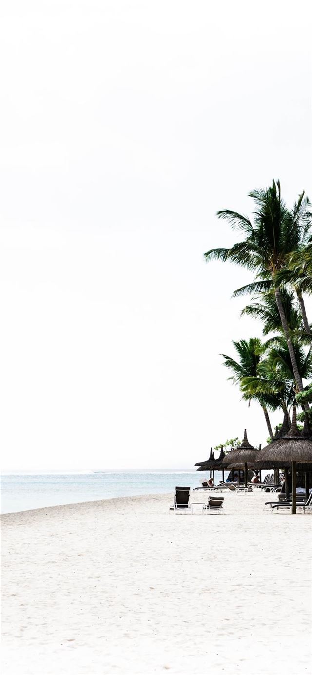 1125x2436 Peaceful Paradise -  iPhone 11 Wallpaper