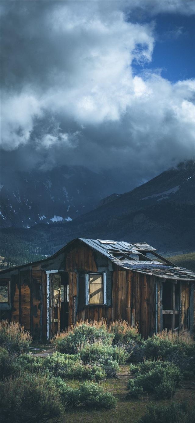 1125x2436 Forgotten -  iPhone 11 Wallpaper