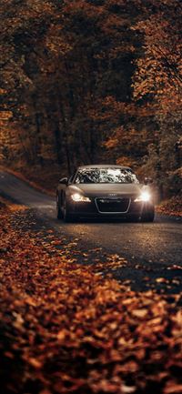 Fall Drives on Country Roads iPhone 11 wallpaper