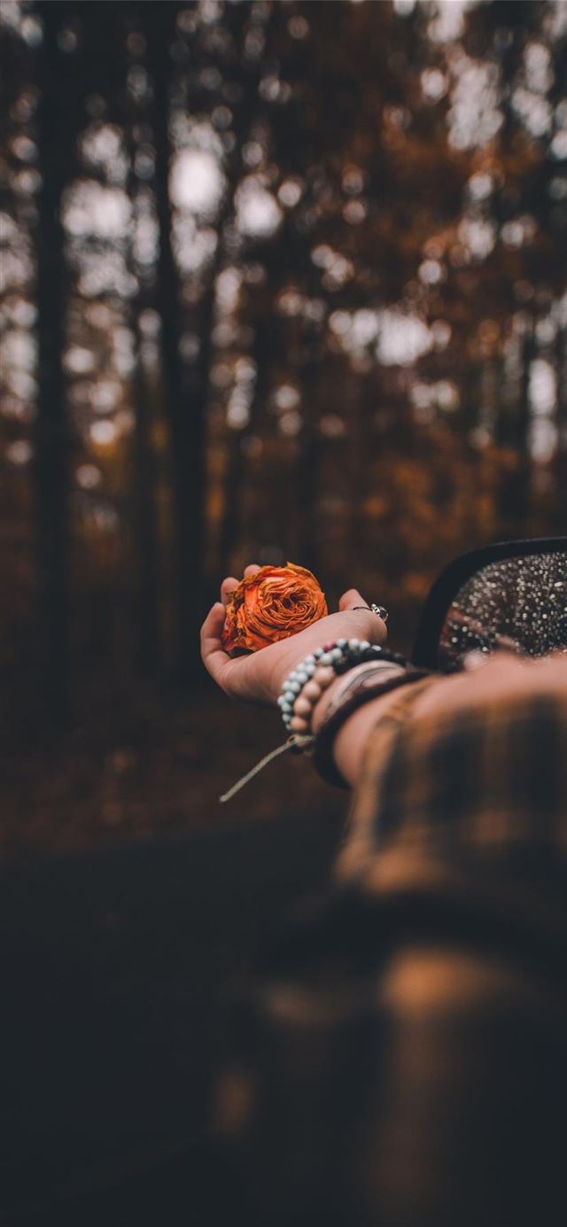 1125x2436 A Flower for You - flower iPhone 11 Wallpaper