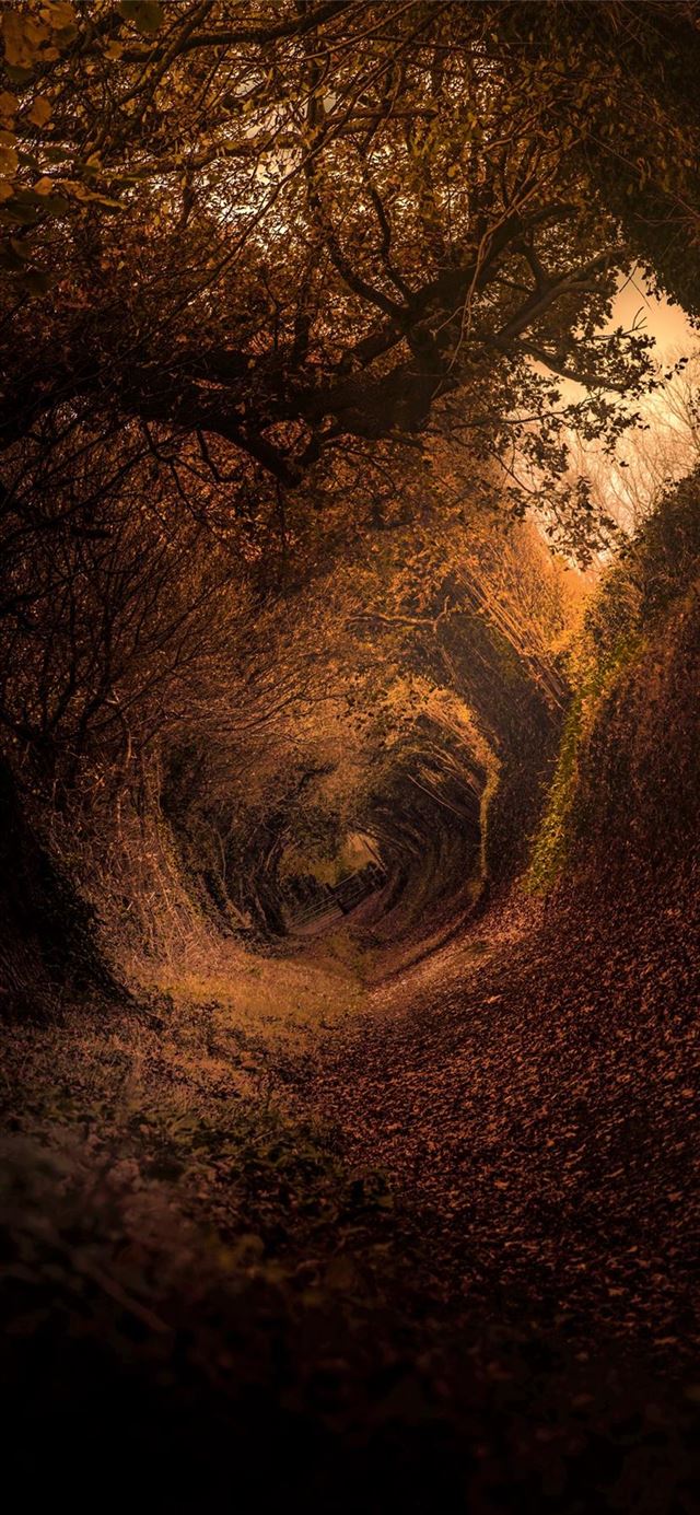 1125x2436 Hobbit Shire -  iPhone 11 Wallpaper