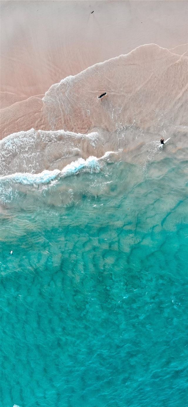 1125x2436 The dog’s dream -  iPhone 11 Wallpaper
