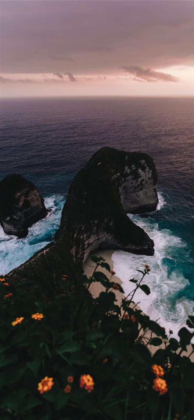 1125x2436 T Rex -  iPhone 11 Wallpaper