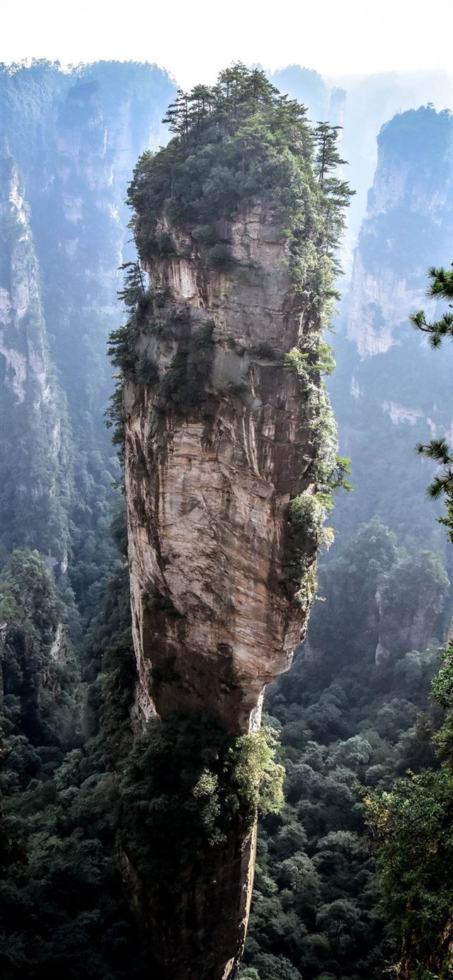 1125x2436 Avatar is real -  iPhone 11 Wallpaper
