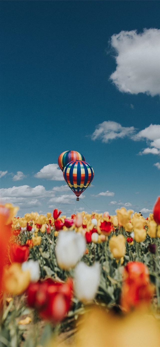 1125x2436 Balloon Over Tulips - tulip iPhone 11 Wallpaper