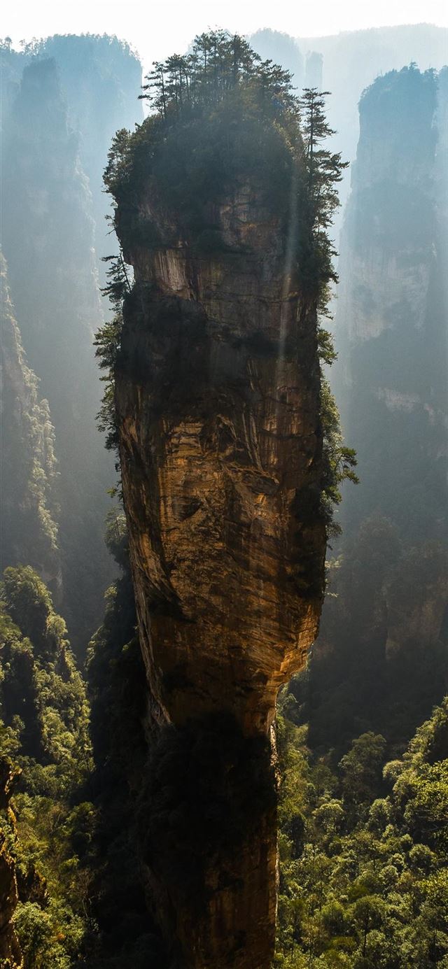 1125x2436 green trees on brown cliff - outdoors iPhone 11 Wallpaper