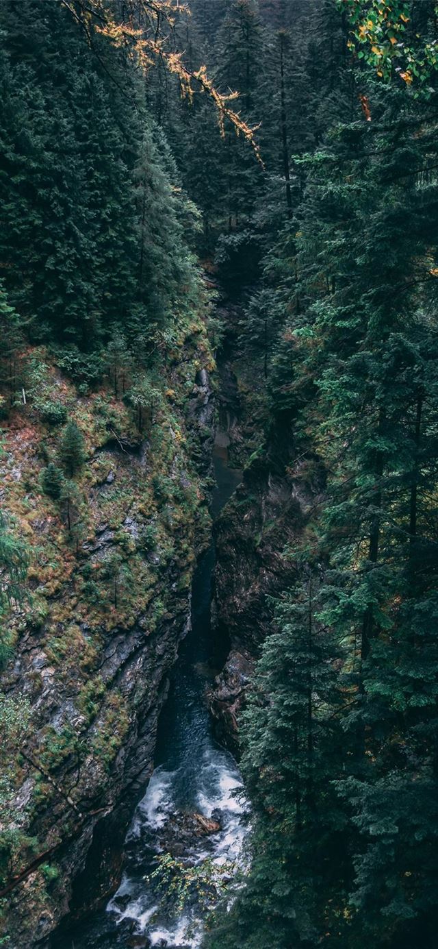 1125x2436 Switzerland - misty iPhone 11 Wallpaper