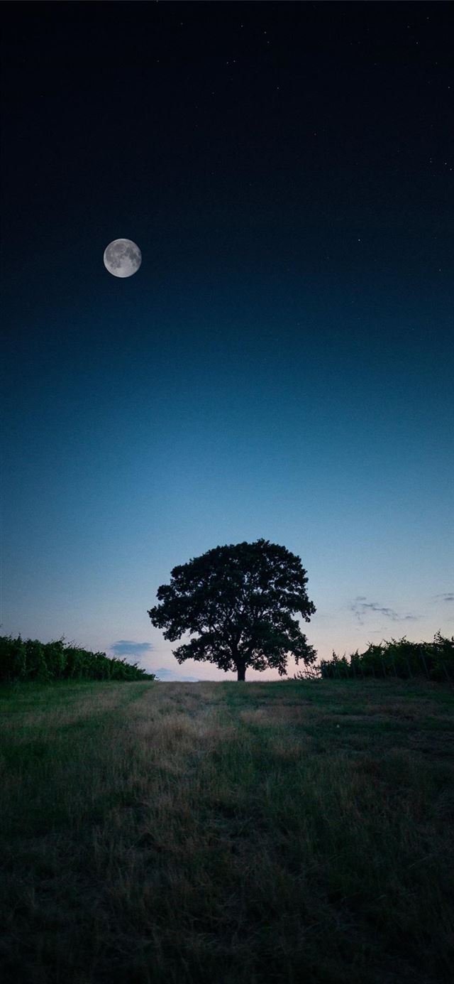 1125x2436 Celebrating 50 years of Lunar exploration🌔 -  iPhone 11 Wallpaper