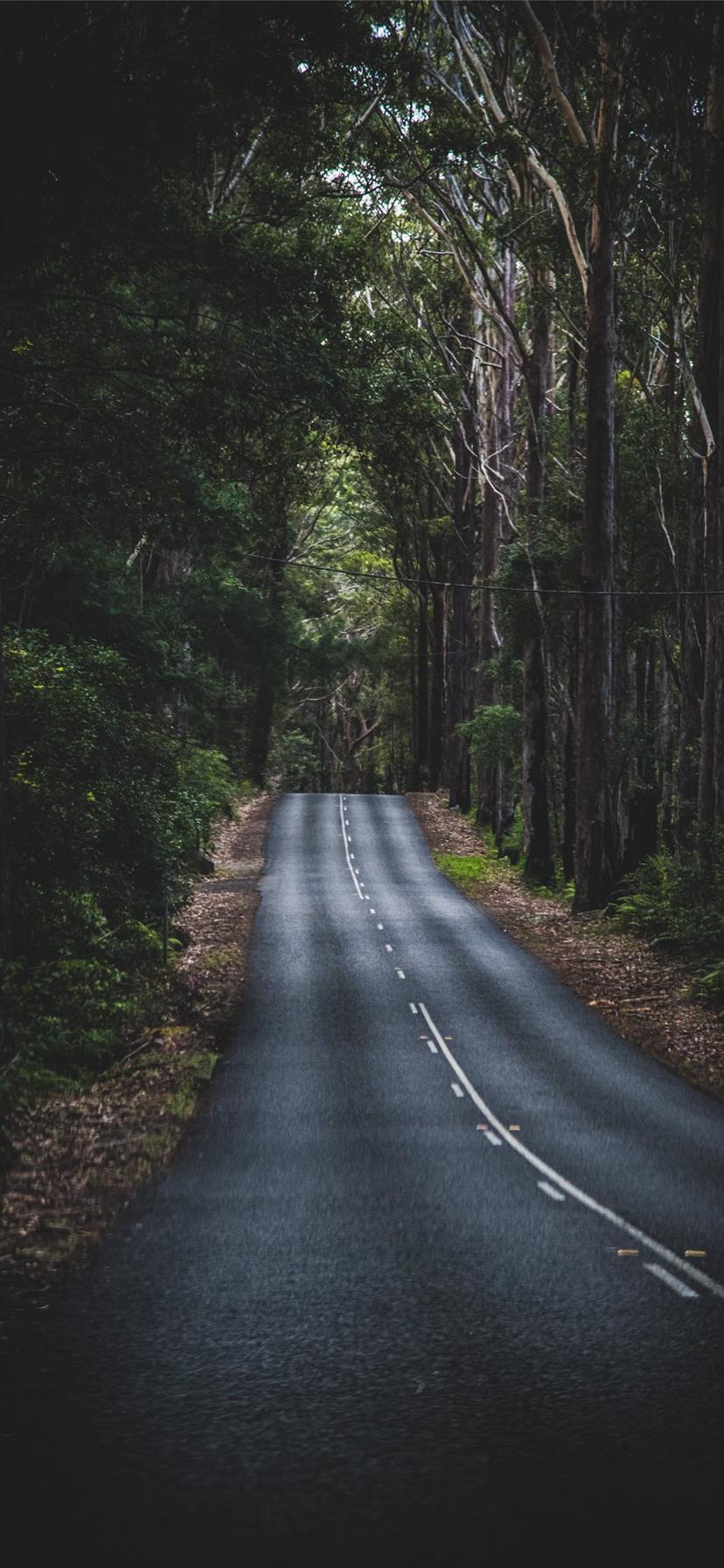 asphalt road wallpaper