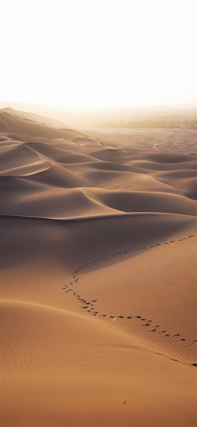 1125x2436 aerial photo of brown desert - nature iPhone 11 Wallpaper