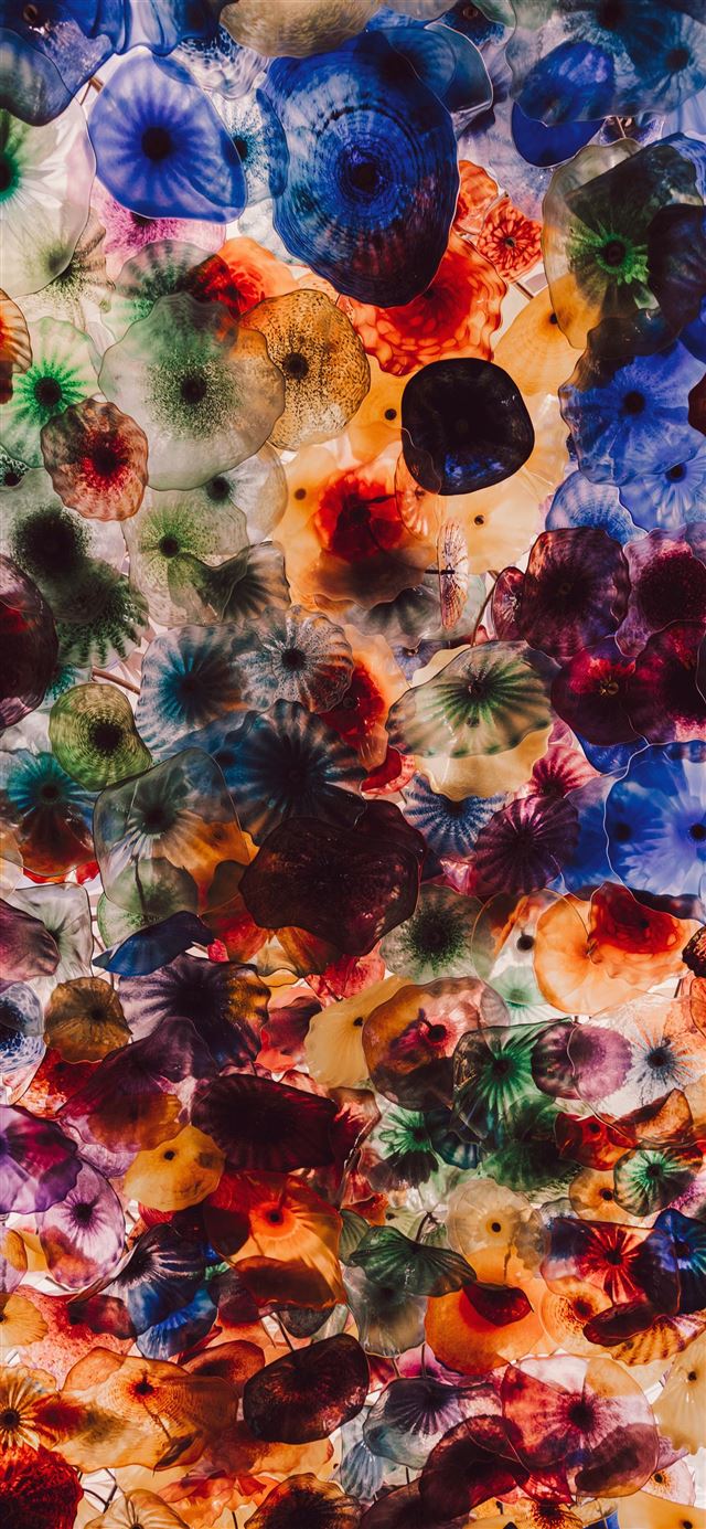 1125x2436 Colored Jellyfidshes - texture iPhone 11 Wallpaper