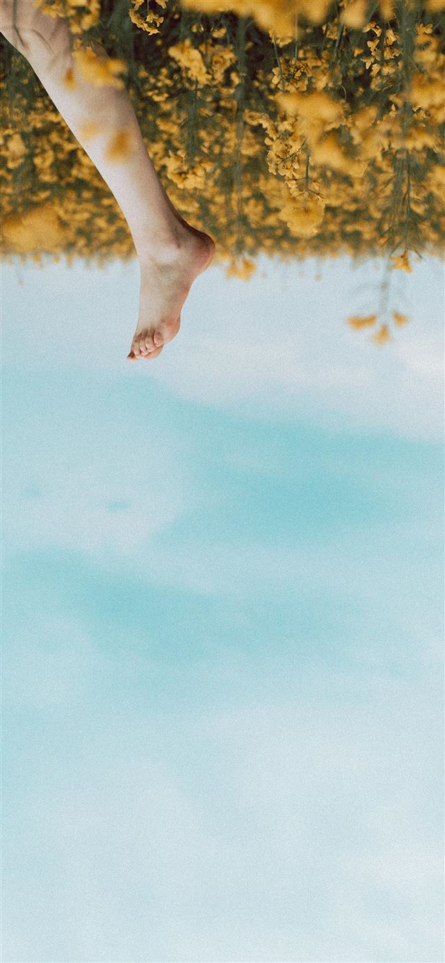 1125x2436 person's foot in a yellow flower field during dayt... - girl iPhone 11 Wallpaper