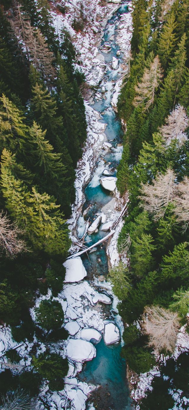 1125x2436 aerial photography of body of water between pine t... - winter iPhone 11 Wallpaper