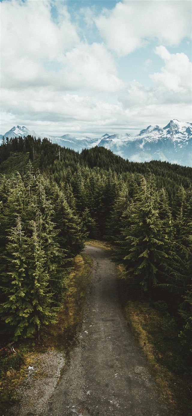 1125x2436 gray asphalt road between green leafed trees under... - mountain iPhone 11 Wallpaper