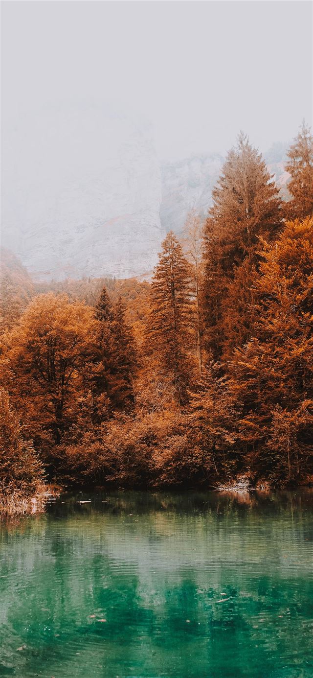 1125x2436 blue lake surrounded by brown leafed trees - scenery iPhone 11 Wallpaper