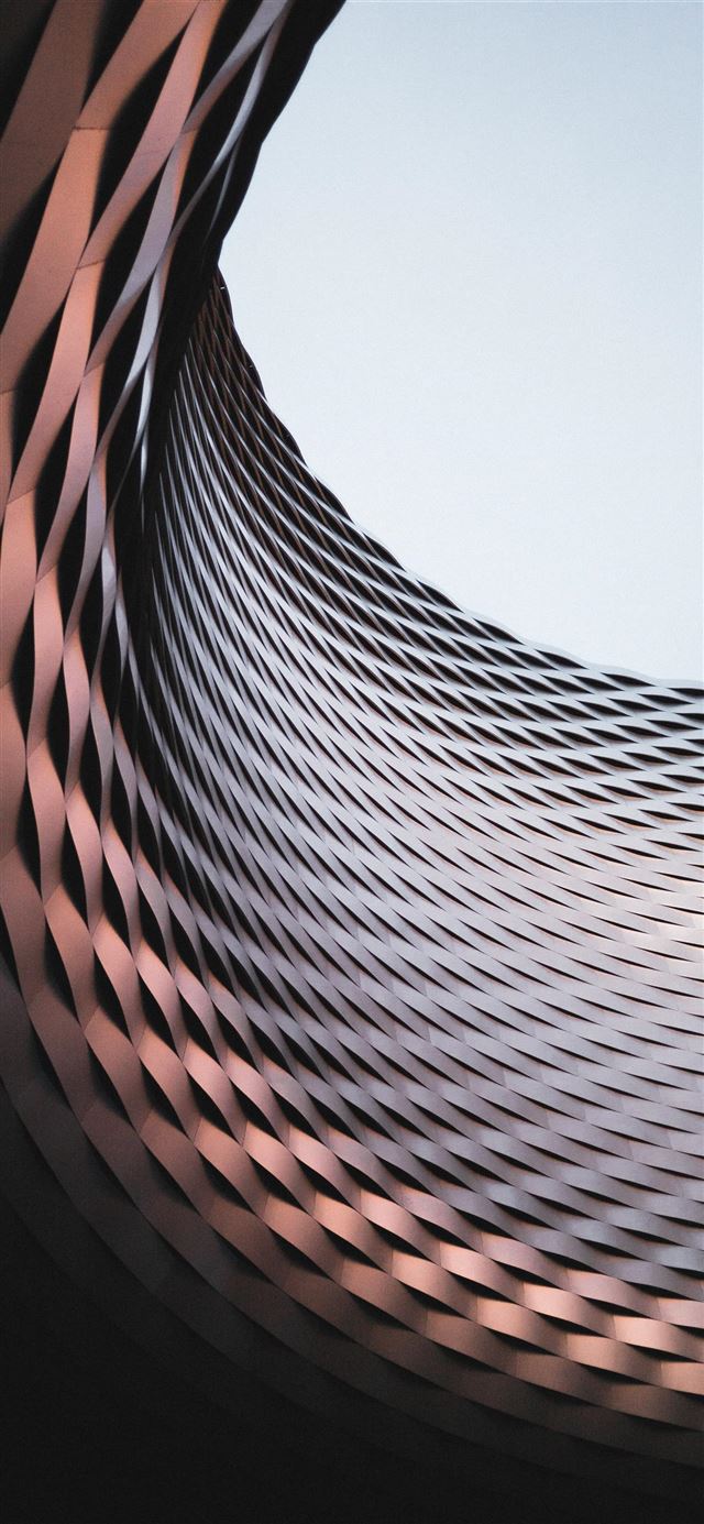 1125x2436 On our way back home we passed this amazing piece ... - bird iPhone 11 Wallpaper