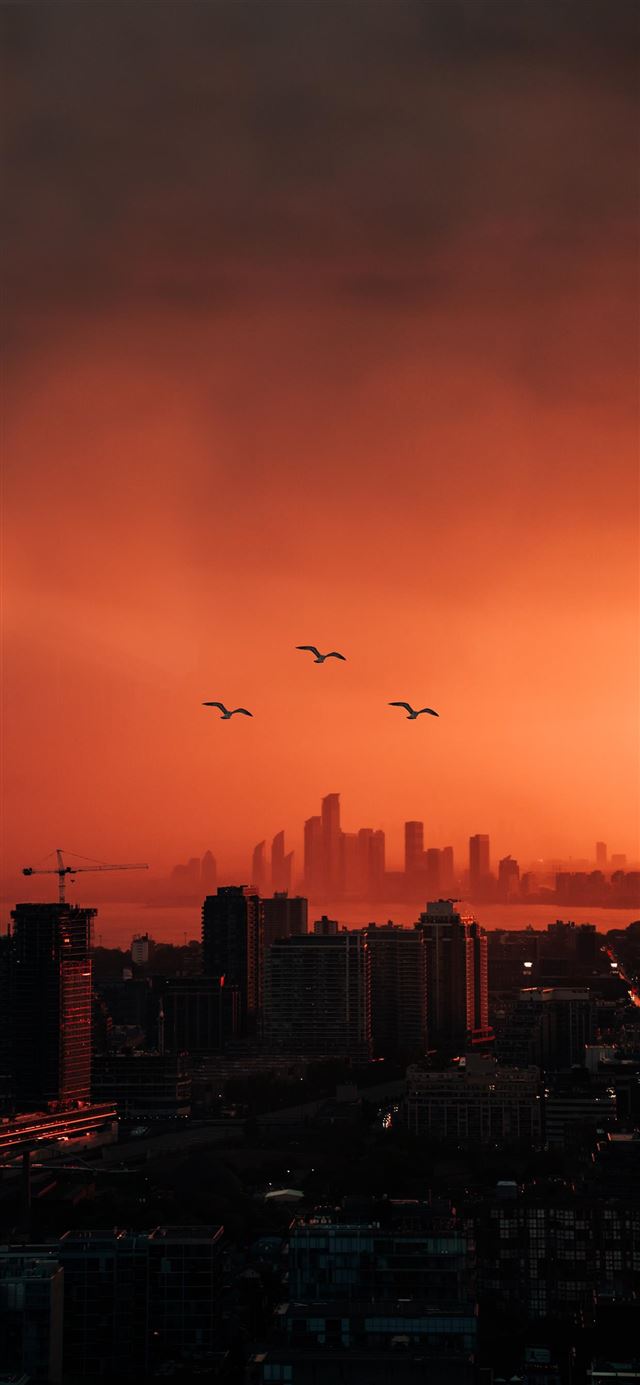 1125x2436 city buildings photo during sunset - sunset iPhone 11 Wallpaper
