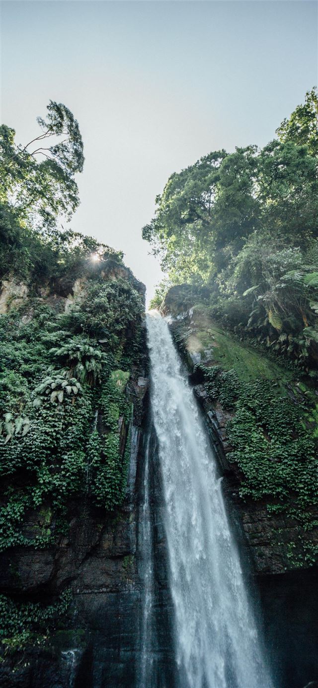 1125x2436 photography of waterfalls during daytime - jungle iPhone 11 Wallpaper