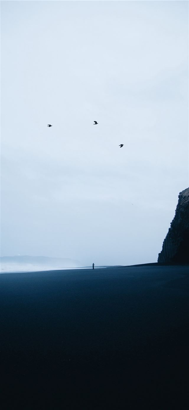 1125x2436 Reynisfjara Black Sand Beach - water iPhone 11 Wallpaper