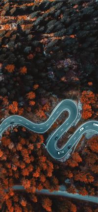 aerial photography of asphalt road surrounded with... iPhone 11 wallpaper