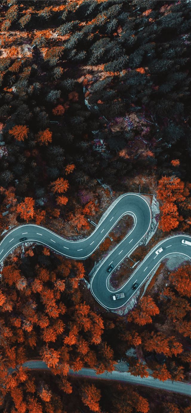 1125x2436 aerial photography of asphalt road surrounded with... - brick iPhone 11 Wallpaper