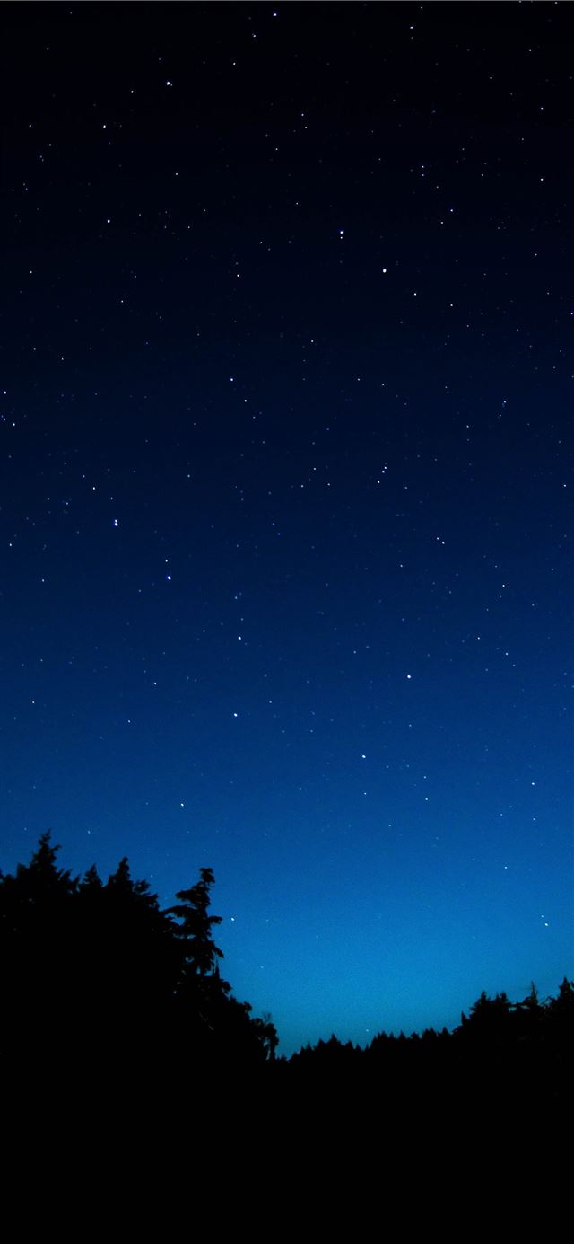 1125x2436 sky at night - space iPhone 11 Wallpaper