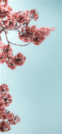 38+ Iphone 11 Background Wallpaper - Thepapernote