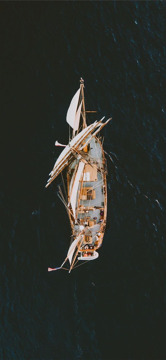 1125x2436 aerial photography of brown galleon ship on body o... - animal iPhone 11 Wallpaper