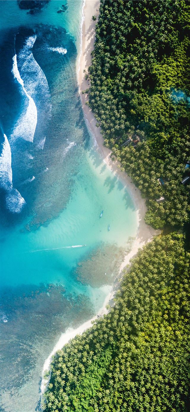 1125x2436 body of water near trees at daytime - ocean iPhone 11 Wallpaper