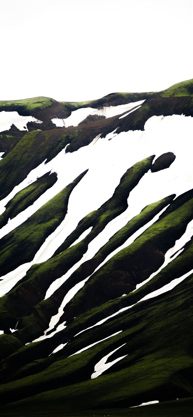 1125x2436 white and green abstract painting - grass iPhone 11 Wallpaper