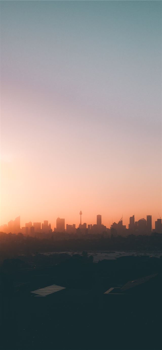 1125x2436 high rise buildings during golden hour - sunset iPhone 11 Wallpaper