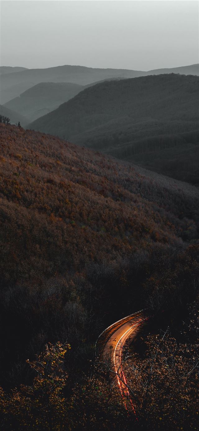 1125x2436 time lapse photography of road surrounded with tre... - autumn iPhone 11 Wallpaper