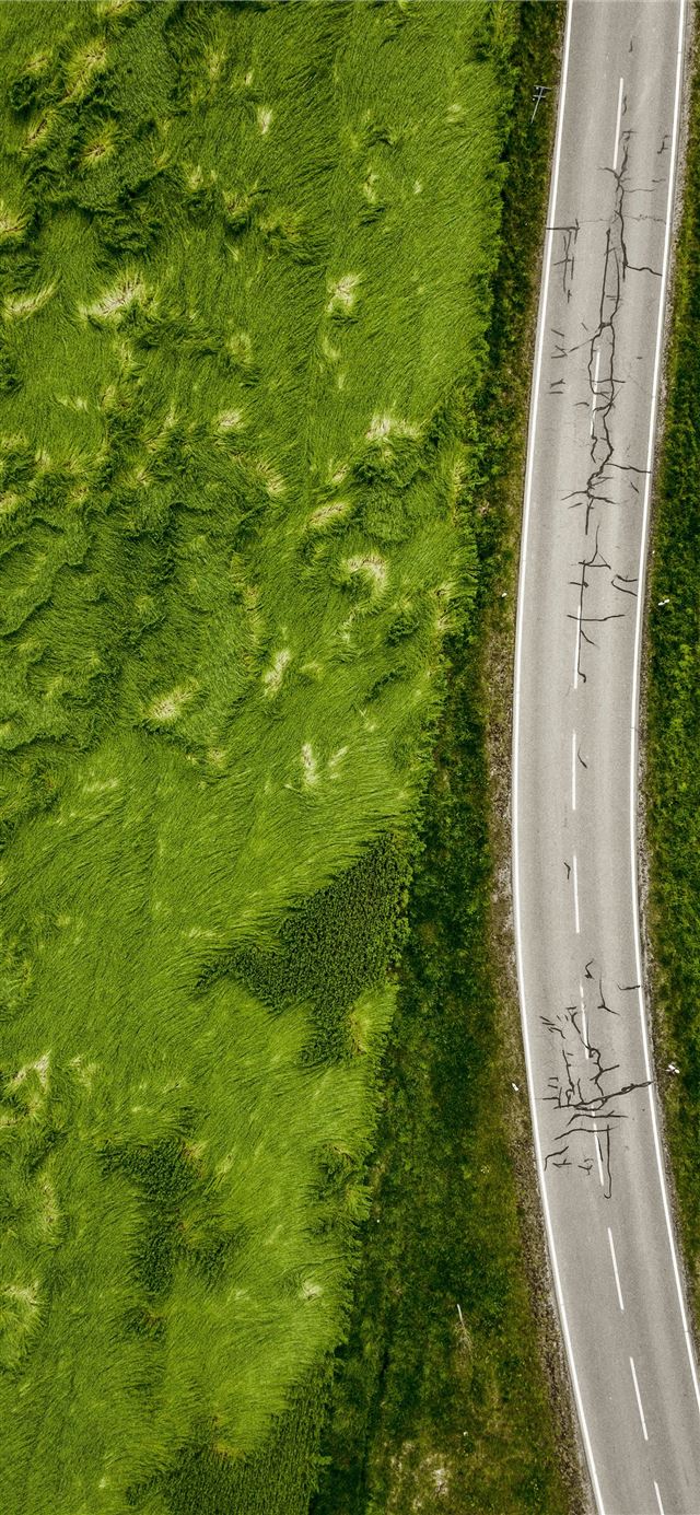 1125x2436 aerial photo of empty concrete road between plants - scenery iPhone 11 Wallpaper