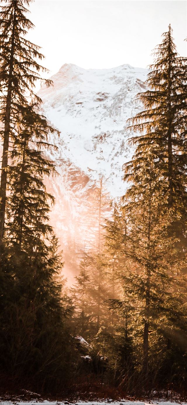 1125x2436 snow covered mountain near trees - fire iPhone 11 Wallpaper