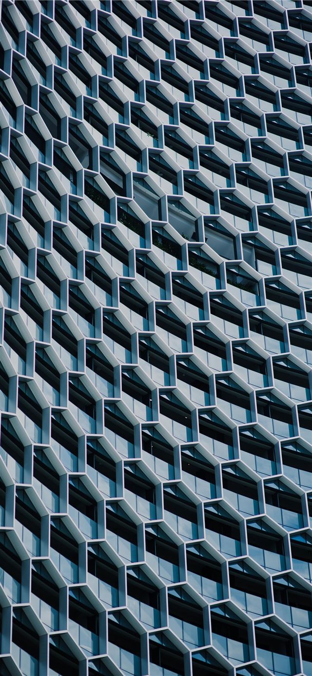 1125x2436 beehive building - city iPhone 11 Wallpaper